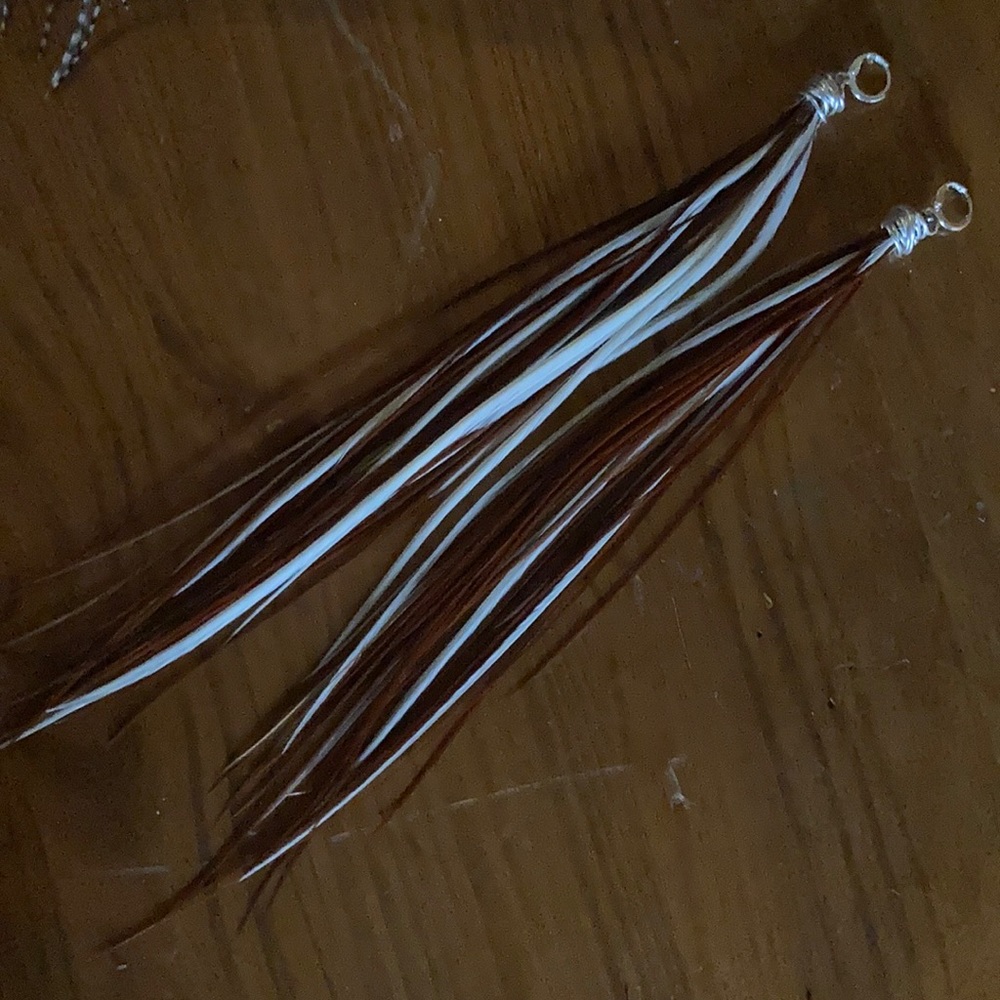 Real rooster saddle earings from a rooster